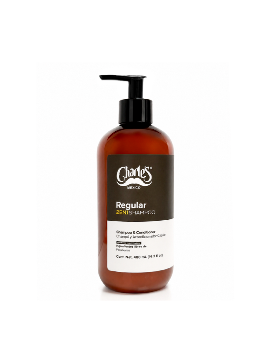 Shampoo Regular 2 en 1